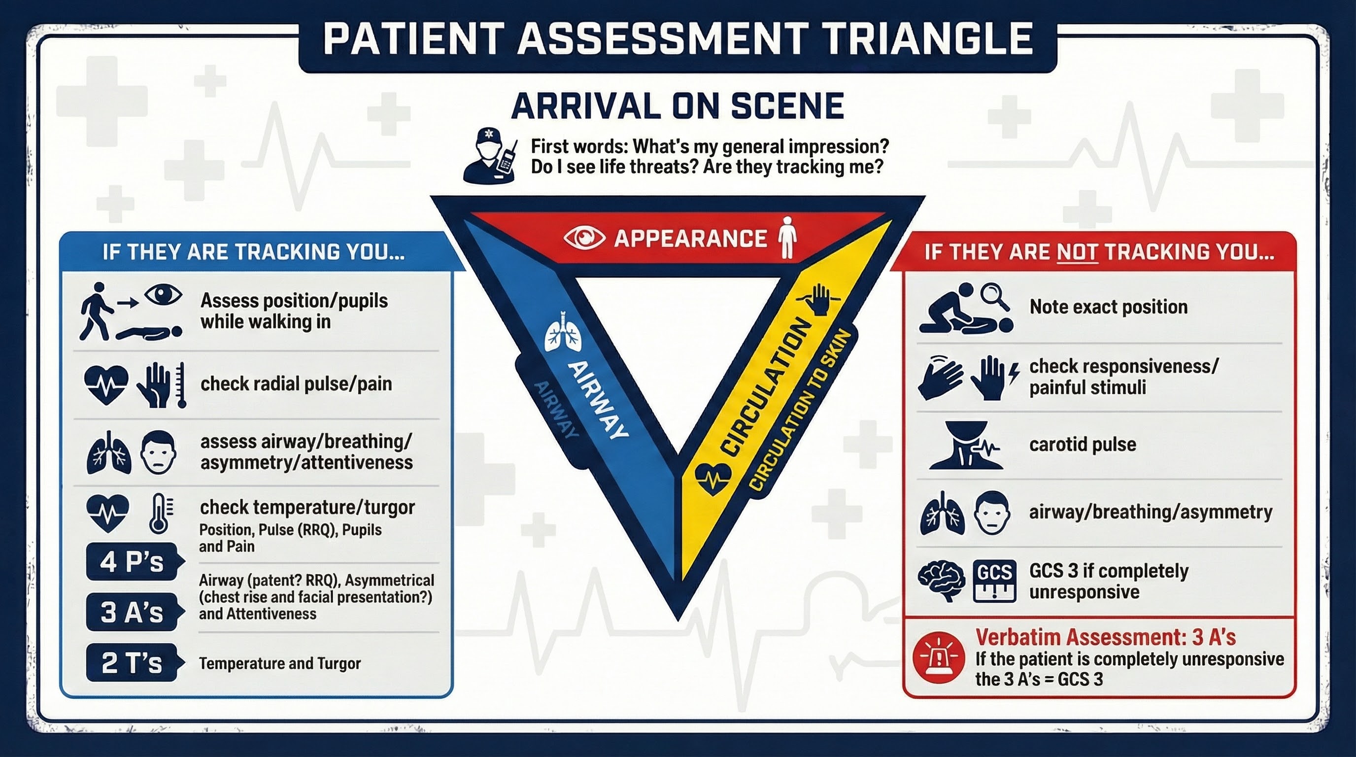Patient Assessment Triangle infographic